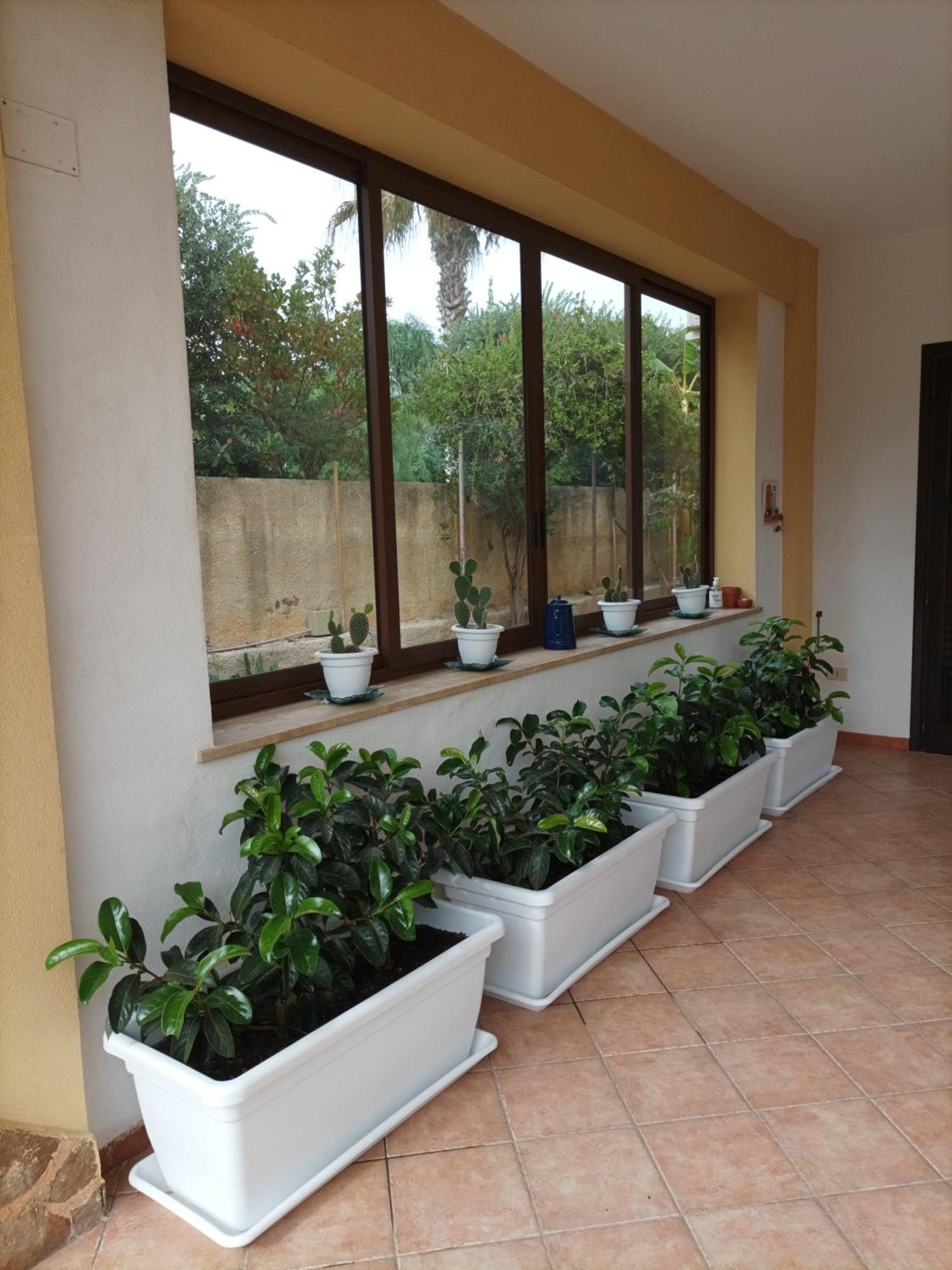 Acasammare Apartment Marsala Zewnętrze zdjęcie